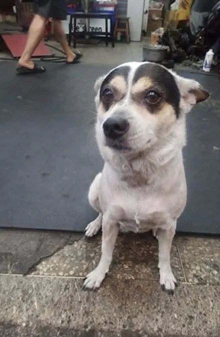 fb/馬晨祥等你来撩骚狗哥特别声明:以上文章内容仅代表作者本人观点