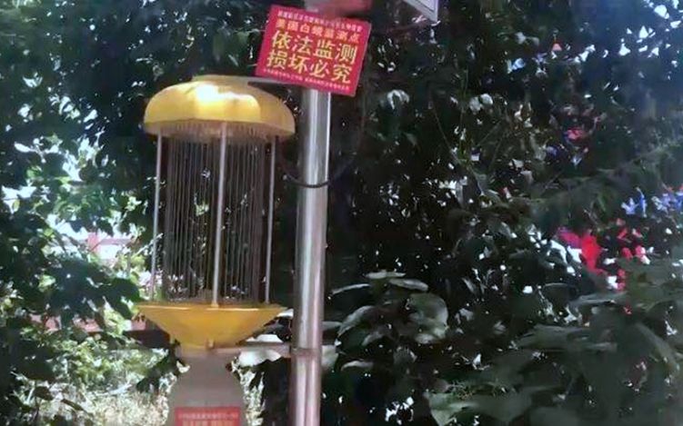 奇迹彩票平台
