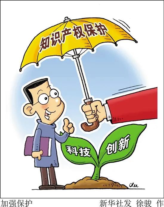 时报时评丨以完善知识产权保护制度为重点建设高标准市场体系
