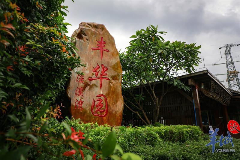 白云区丰华园又热闹起来了