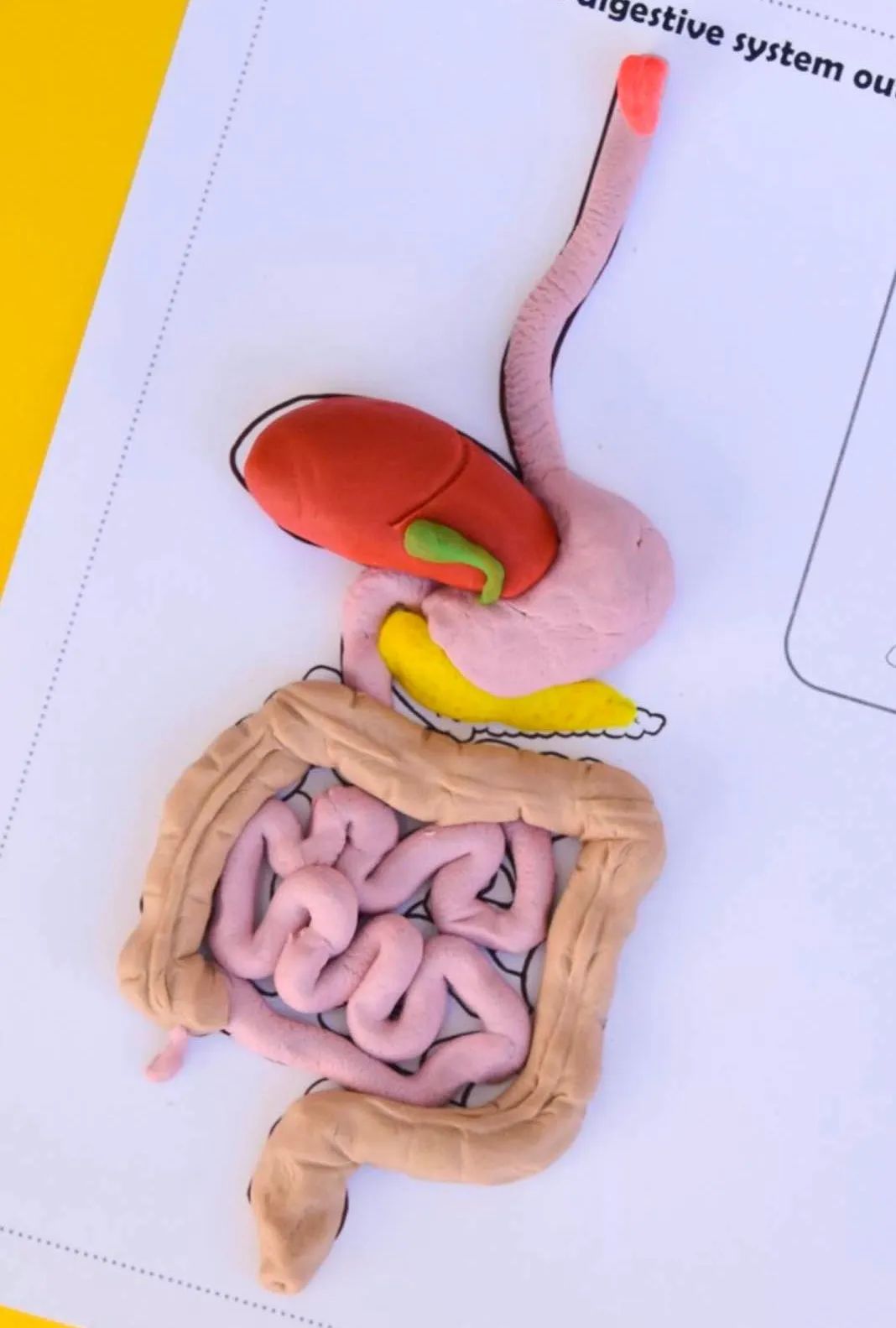 膜拜!这玩法价值一个亿!