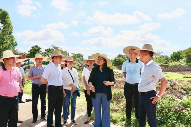 龙小艾深入基层一线调研推进湛江大道霞山段征拆工作