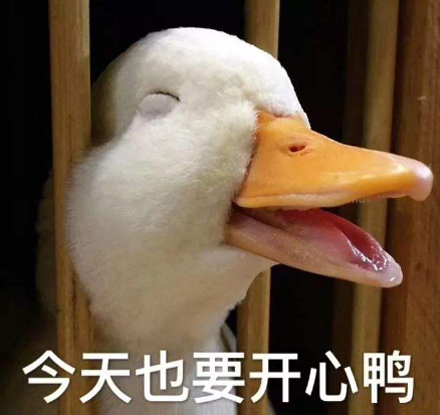 没被大鹅追过的童年,是不完整的!哈哈哈