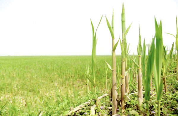 在抖音直播间,相遇洞庭好风光