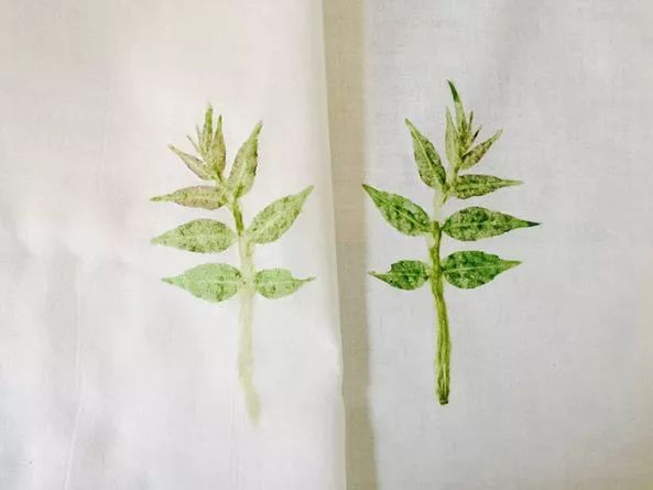 3种简单植物染,制作属于你的美好
