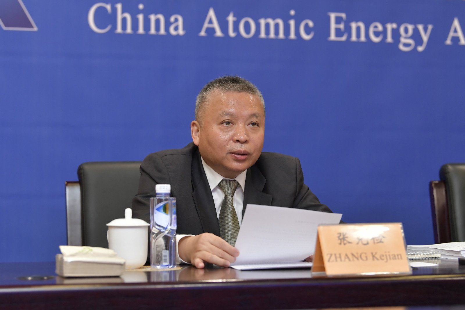 国际原子能机构举行视频理事会