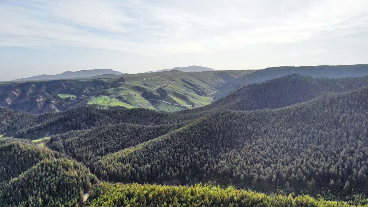 新闻搜索_新浪搜索_新浪网