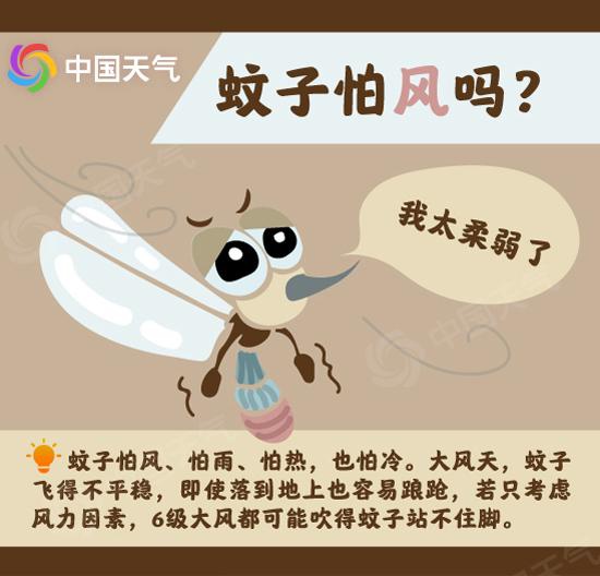 强降水|热带风暴_新浪新闻