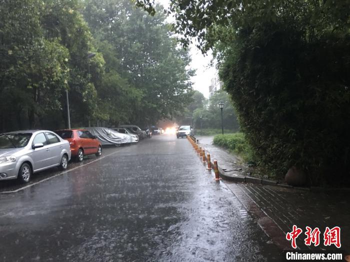 中新网安徽发布暴雨黄色预警 265个乡镇降雨量超50毫米