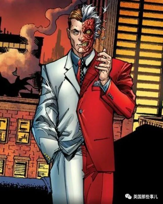 铲屎官eve开玩笑说,cat有点儿像《蝙蝠侠》中外号"双面人"的反派