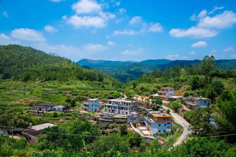 梅州乡村振兴乡村游(十四)田园画卷—坪山村