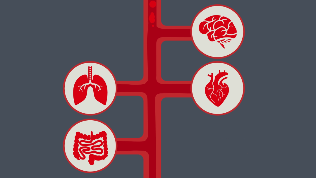 盐吃多了会损害身体这些器官5招教你合理控盐