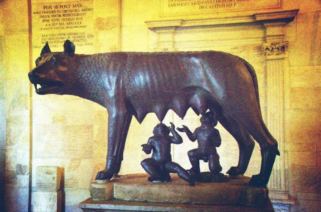 罗穆卢斯和雷穆斯的传说这两个孩子——8岁的卡玛拉(kamala)和18个月