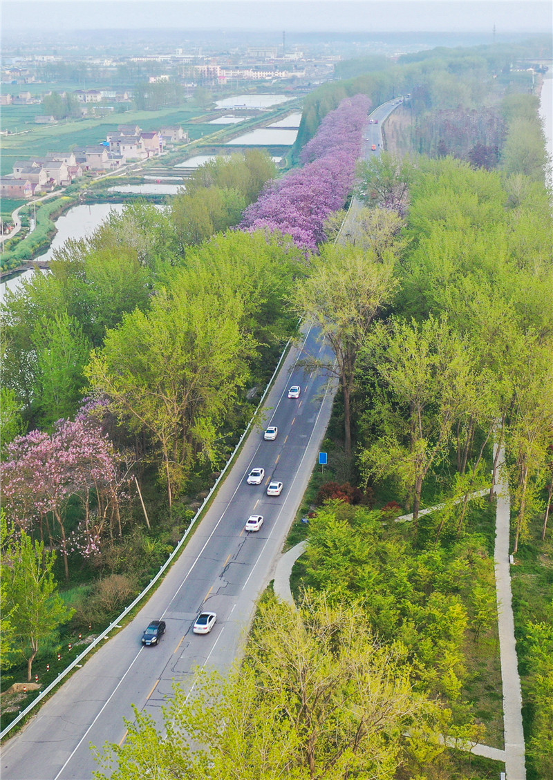 在家看天下·每日一景丨大运河畔 大美安宜
