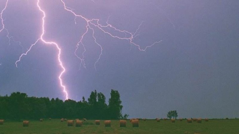 哗啦啦,下雨啦|雷声|鸟儿|黑云_新浪新闻