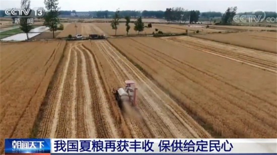 農(nóng)業(yè)農(nóng)村部：全國夏糧收獲已到九成 豐收成定局