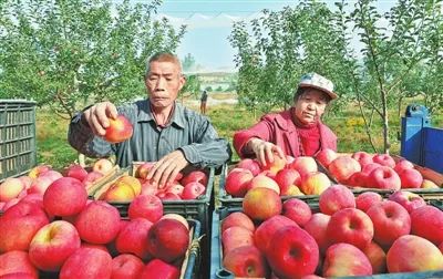 米脂县人口_米脂县公安局查处一起聚众案件