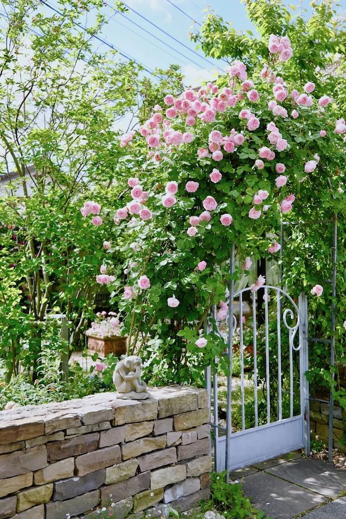 国外花园分享 | 一个国外医院花园,超治愈