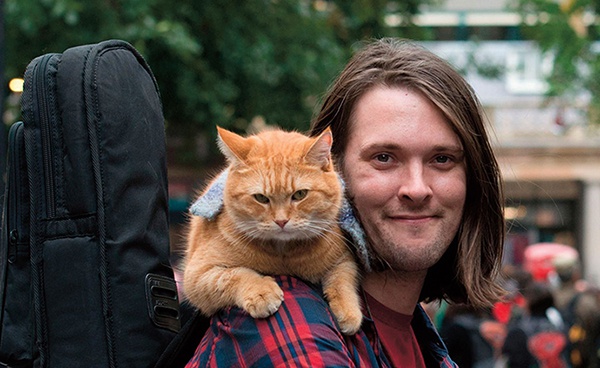 流浪猫鲍勃去世它的故事感动了无数人