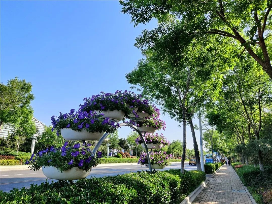 东海东路上这个地方火了!随手拍大片!很多青岛人还不知道