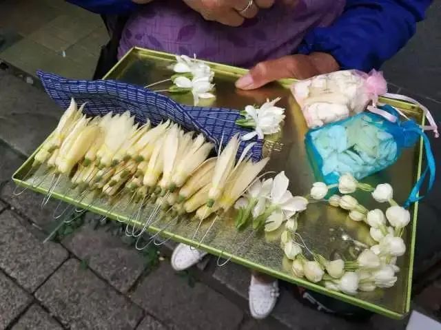 白兰花 簪在鬓上 插在襟上 日历 东南亚 新浪科技 新浪网 白兰花 簪在鬓上 插在襟上 日历 东南亚 新浪科技 新浪网