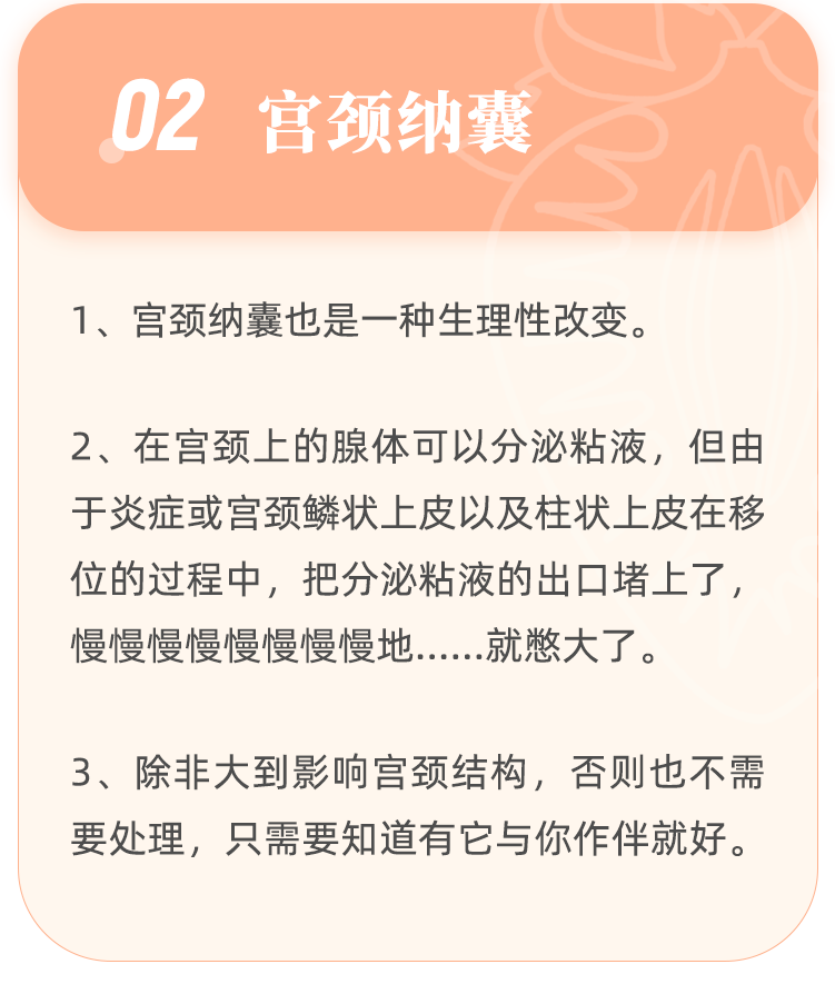 宫颈纳囊3.盆腔积液4.清洁度异常5.宫颈炎6.假性湿疣7.hpv感染8.