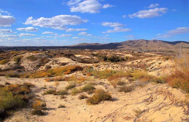 世界防治荒漠化和干旱日爱地球立即行动让荒漠变绿洲