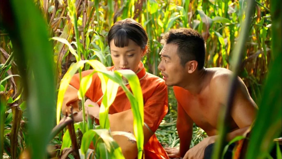 影后周迅大气回归,与朱亚文共同演绎经典传奇大剧《红高粱》