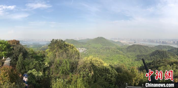 中新网西湖景区现酷似“千与千寻”汤屋“网红”楼 当地调查中