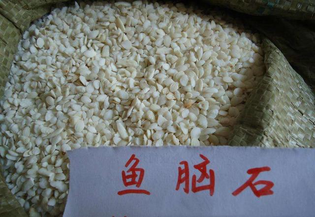 没想到,大黄鱼或小黄鱼的头盖骨的耳石有这些妙用