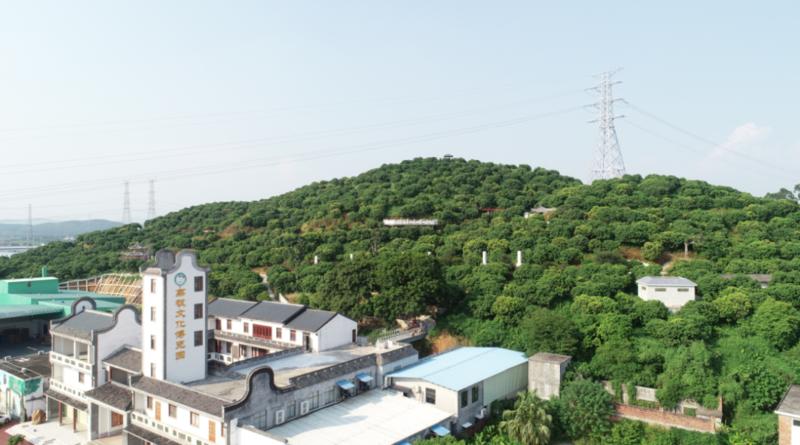 诚邀爱"荔"的你!增城荔枝小镇向世界递出新名片!