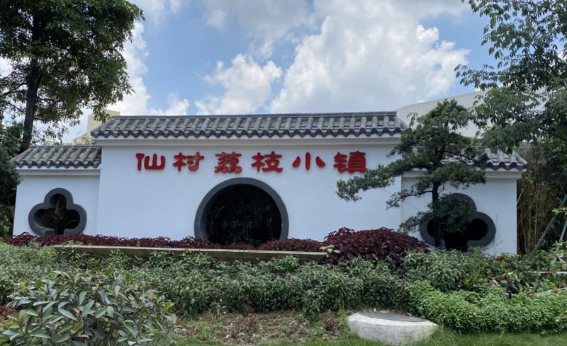 诚邀爱"荔"的你!增城荔枝小镇向世界递出新名片!