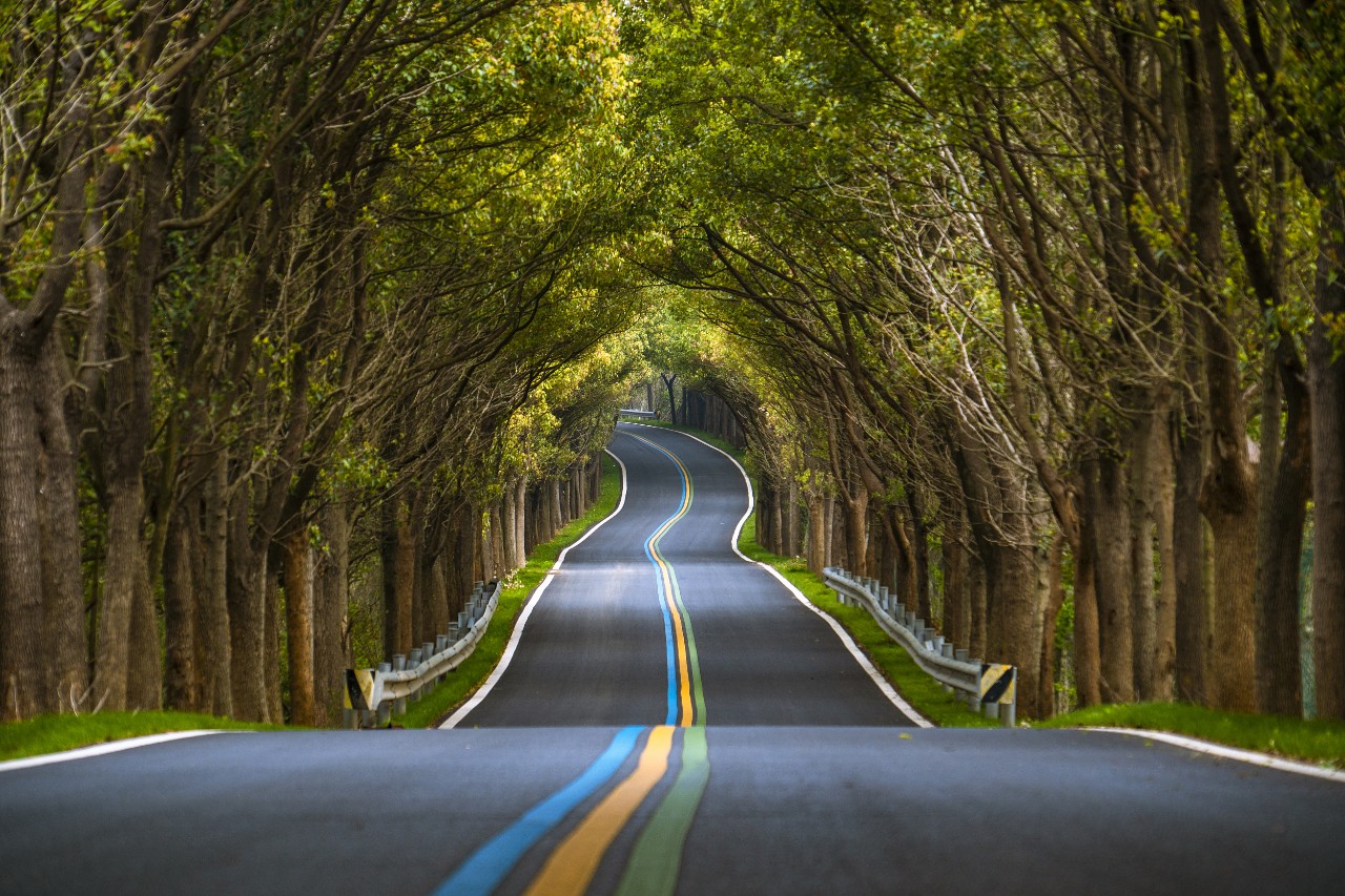 彩虹公路变网红苏南这一小城如何立足生态特质探路县域新经济