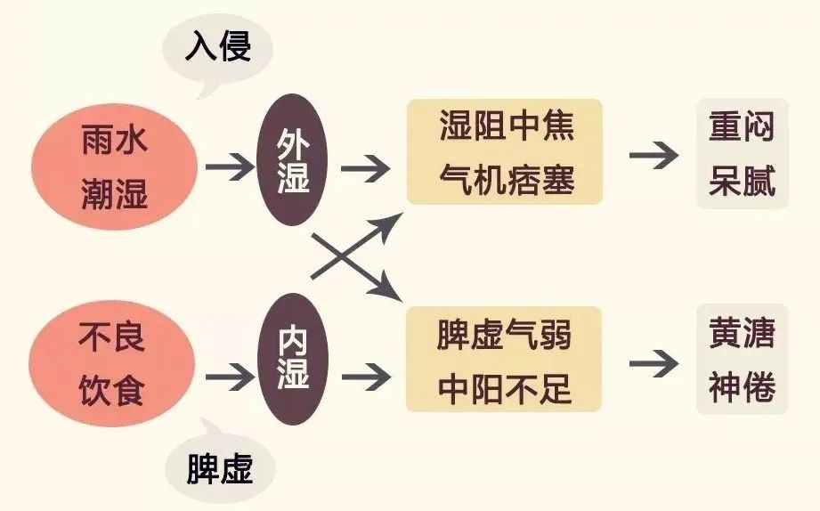 脾虚生湿气,湿气又会加重脾虚,内湿与外湿又互为因果,不及时祛湿,就会