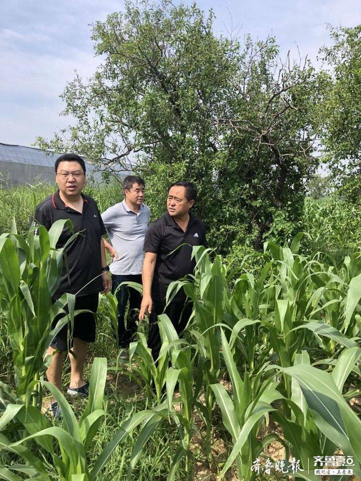 第一书记付金山就想为群众多做一点小事