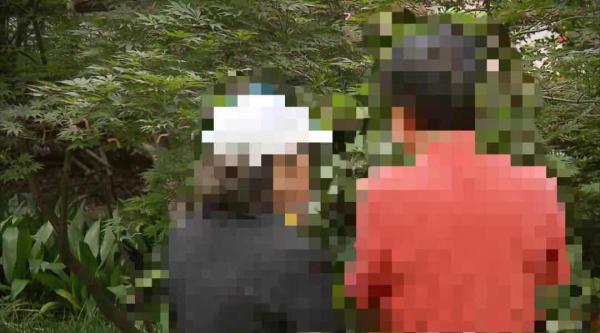 陈先生夫妇 “新闻坊”微信公号 图