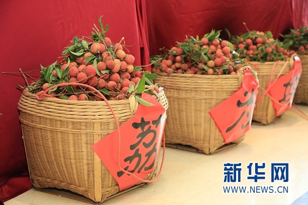 2020中国广州(增城)荔枝文化旅游节开幕