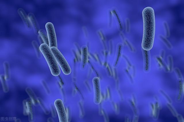 伤寒杆菌造成之伤寒病,常称"伤寒热",伤寒沙门菌,又称伤寒杆菌,属沙门