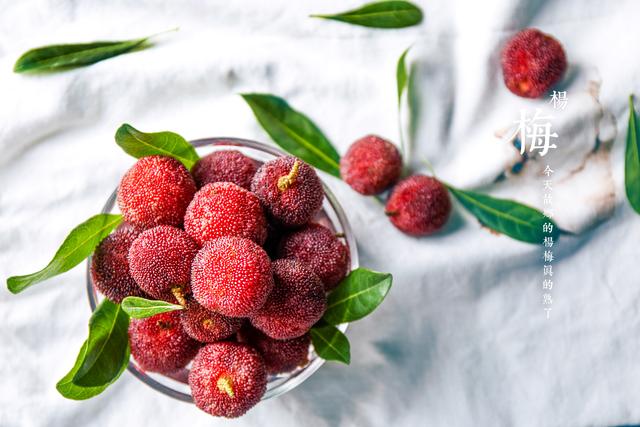 杨梅的功效与作用