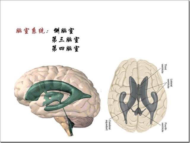脑积水(hydrocephalus)是脑室和脑池(蛛网膜下腔)内脑脊液总量增多