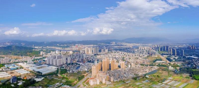 人口普查大点名,饶平没你可不行!|普查|饶平县|领导小组_新浪新闻