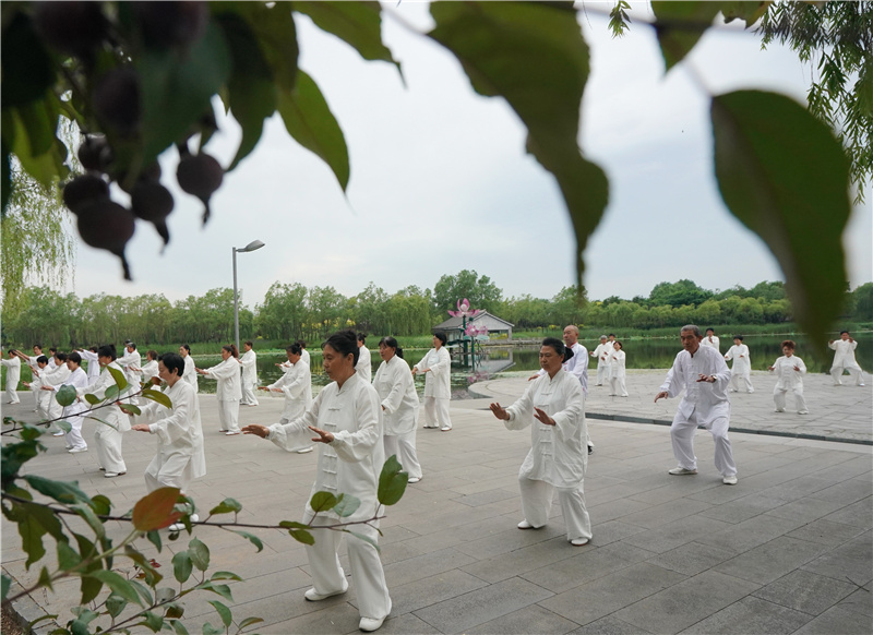 全民健身——晨练太极