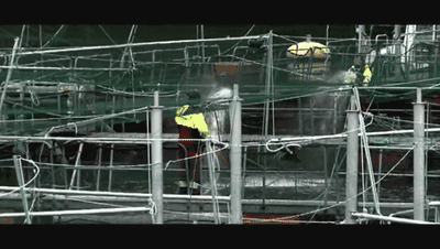 ▲养殖场工人向网箱里喷洒杀虫剂。图据ARTE