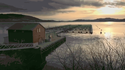 ▲纪录片中的三文鱼养殖场。图据ARTE