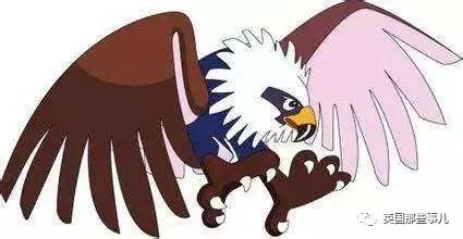 脱掉马甲的真身是这样的…"食猴鹰"穿上马甲是这样…然而,说到《黑猫