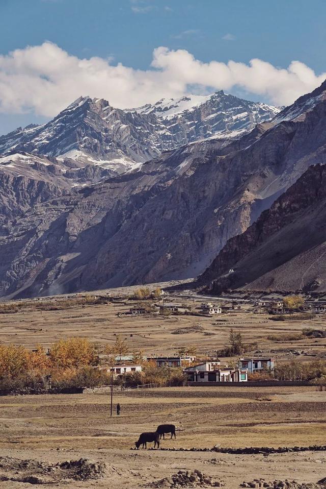 走进印度最西藏,最多元的拉达克