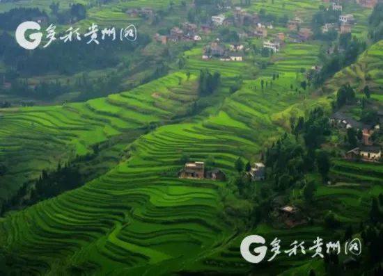 余庆县人口_遵义人口分布图:红花岗区97.13万,余庆县22.4万