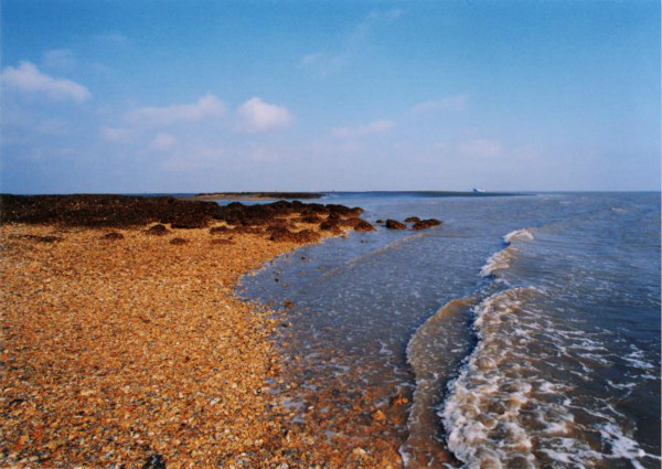 长三角签约10个文旅项目引资近160亿元海门全域旅游再掀魅力华章