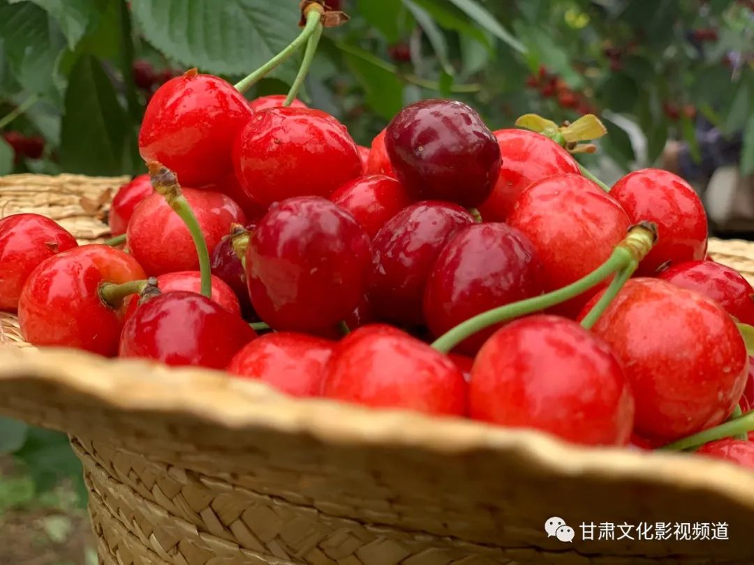 不玩套路只送福利!天水秦州大樱桃9.9元秒杀!今晚18:00直播间等你