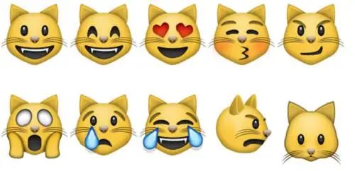 你把人家的字母当成表情用?老外也没有放过汉字